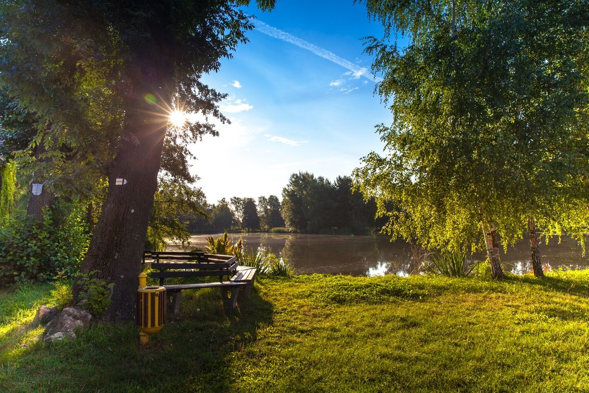 A park